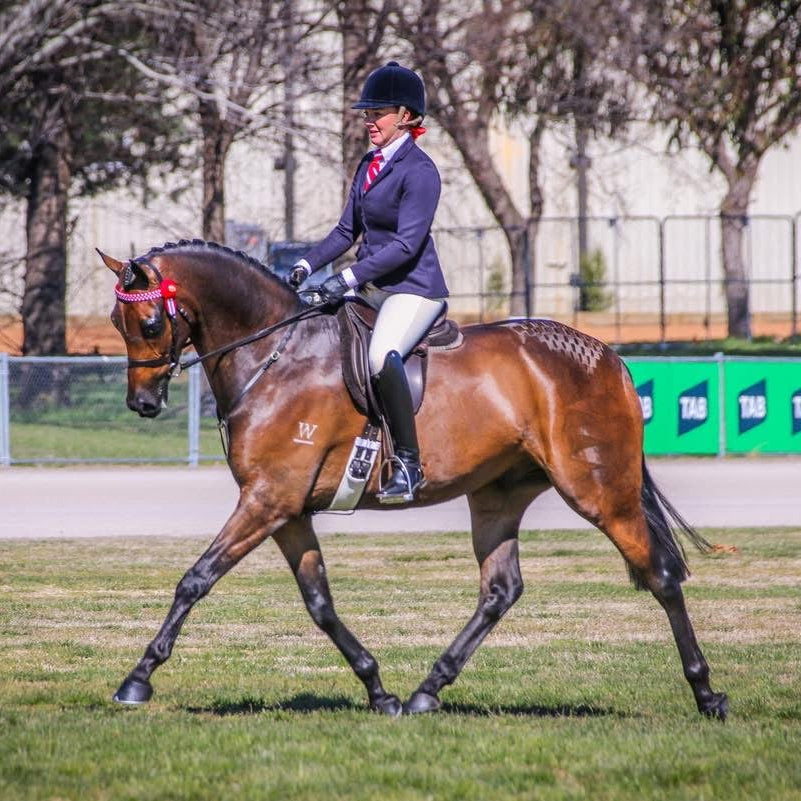 Thames London Competition Tights - Creme Beige
