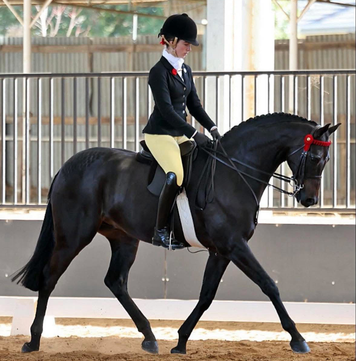 Thames London Competition Tights - Buttercup