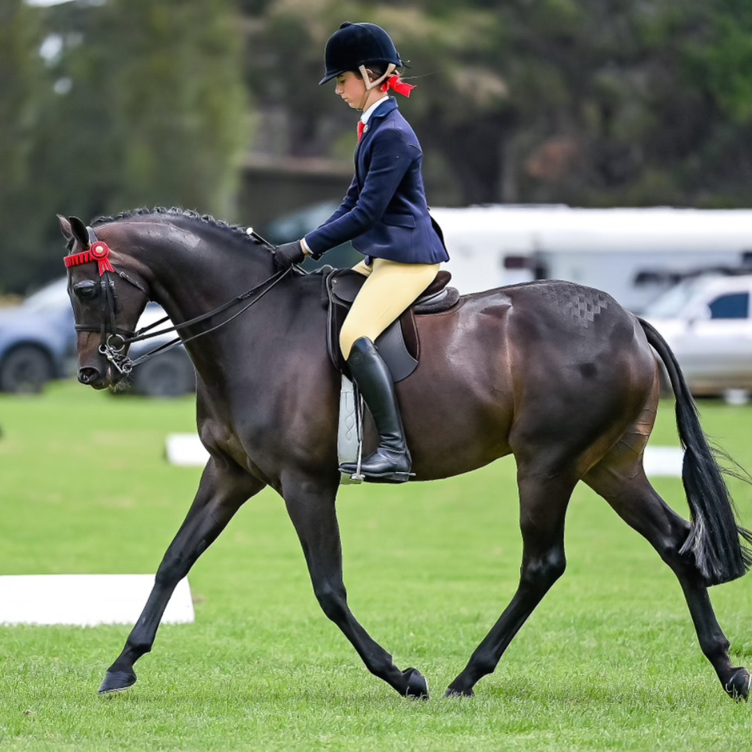 Thames London Competition Tights - Buttercup