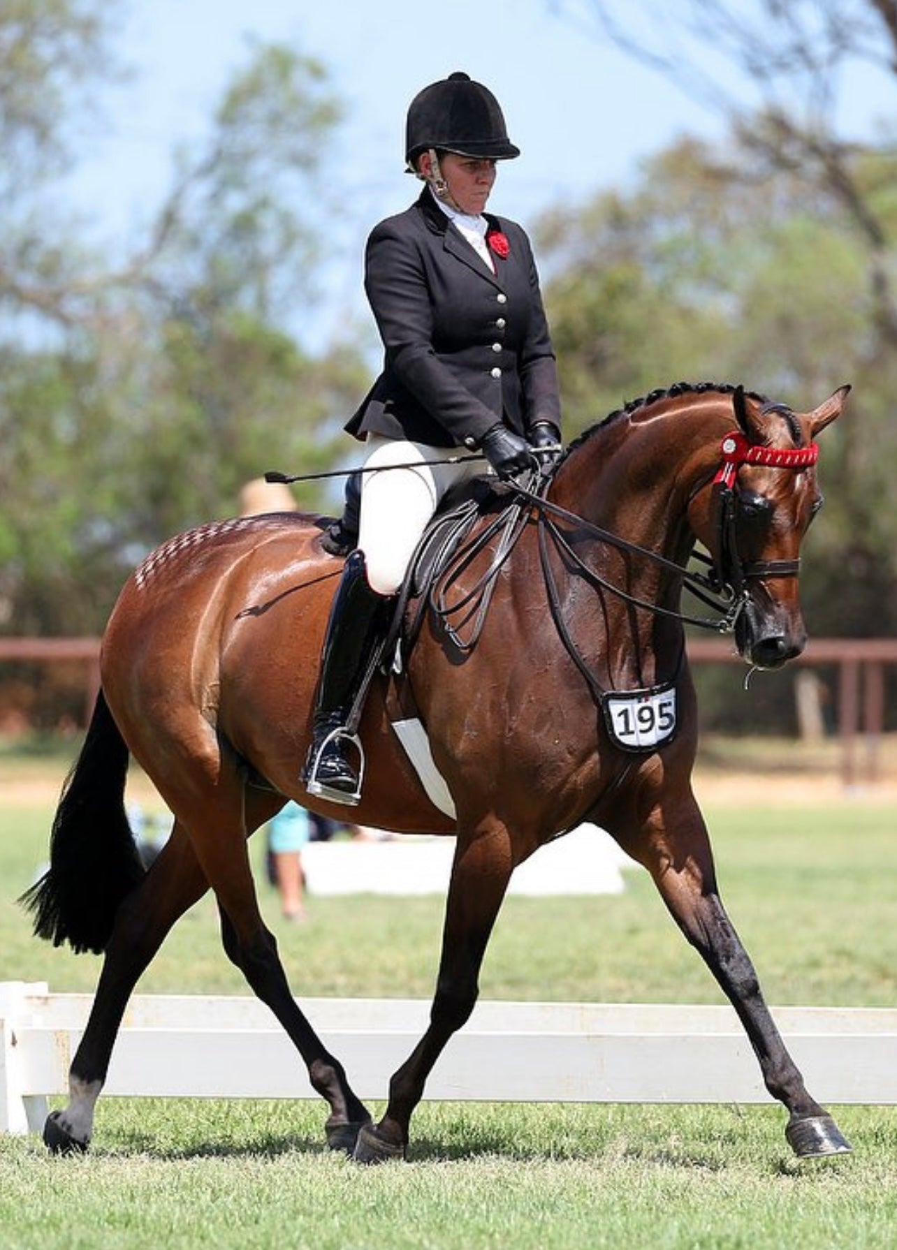 Thames London Competition Tights - Creme Beige