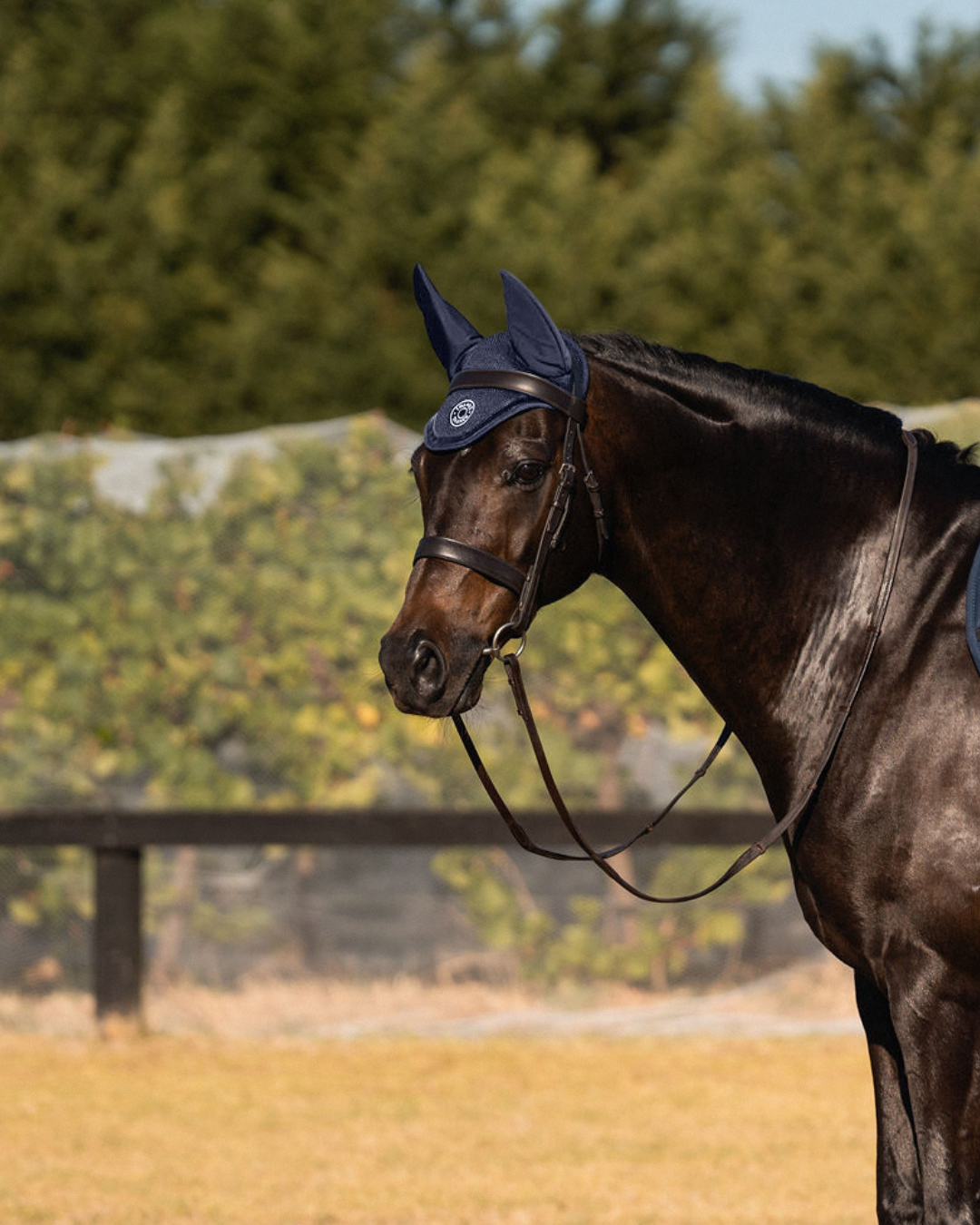 Thames St Edwards Ear Bonnet - Navy