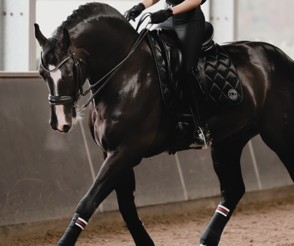 Wembley Euro Saddle Pad