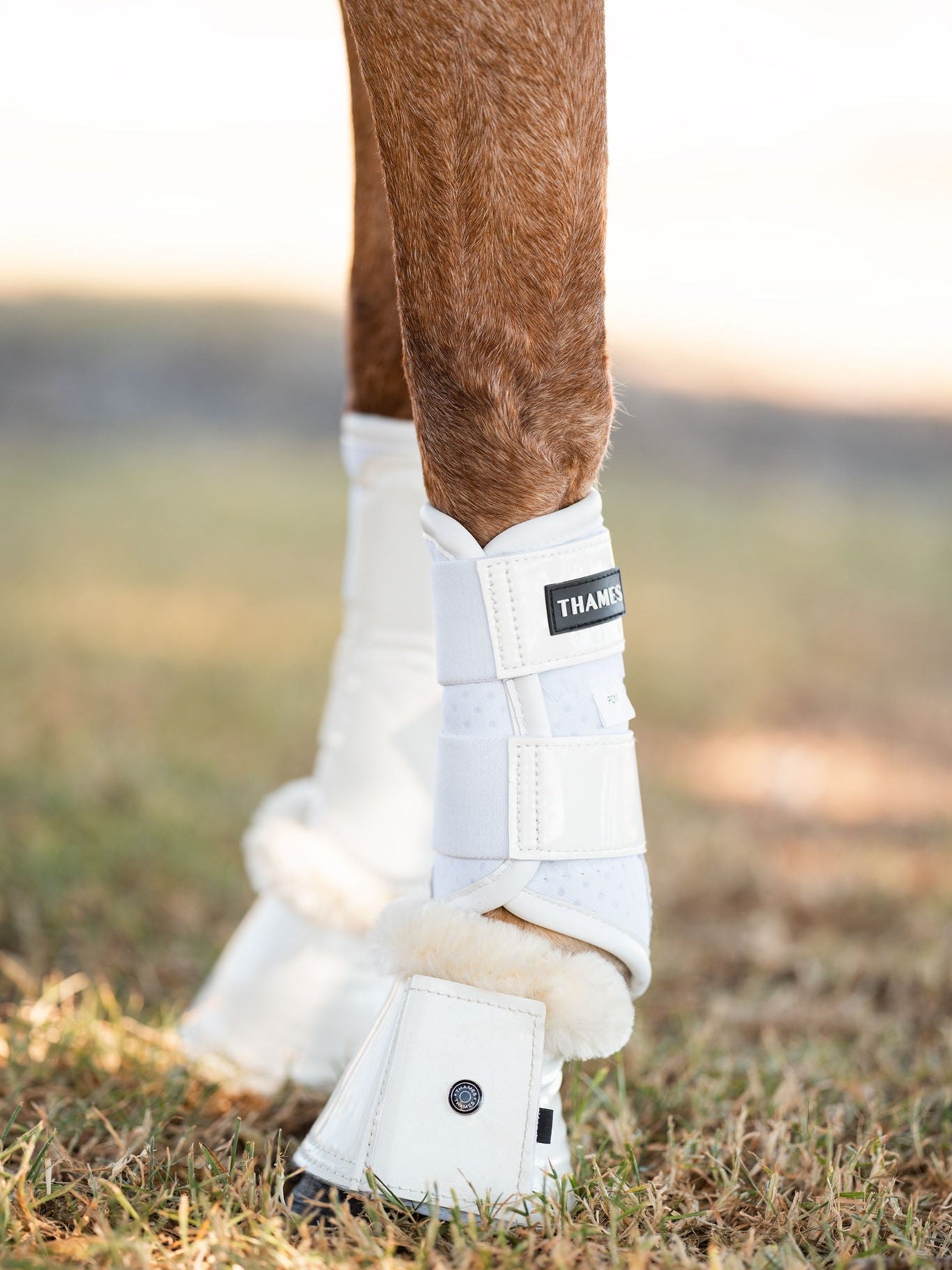 Thames Breathable Brushing Boots White