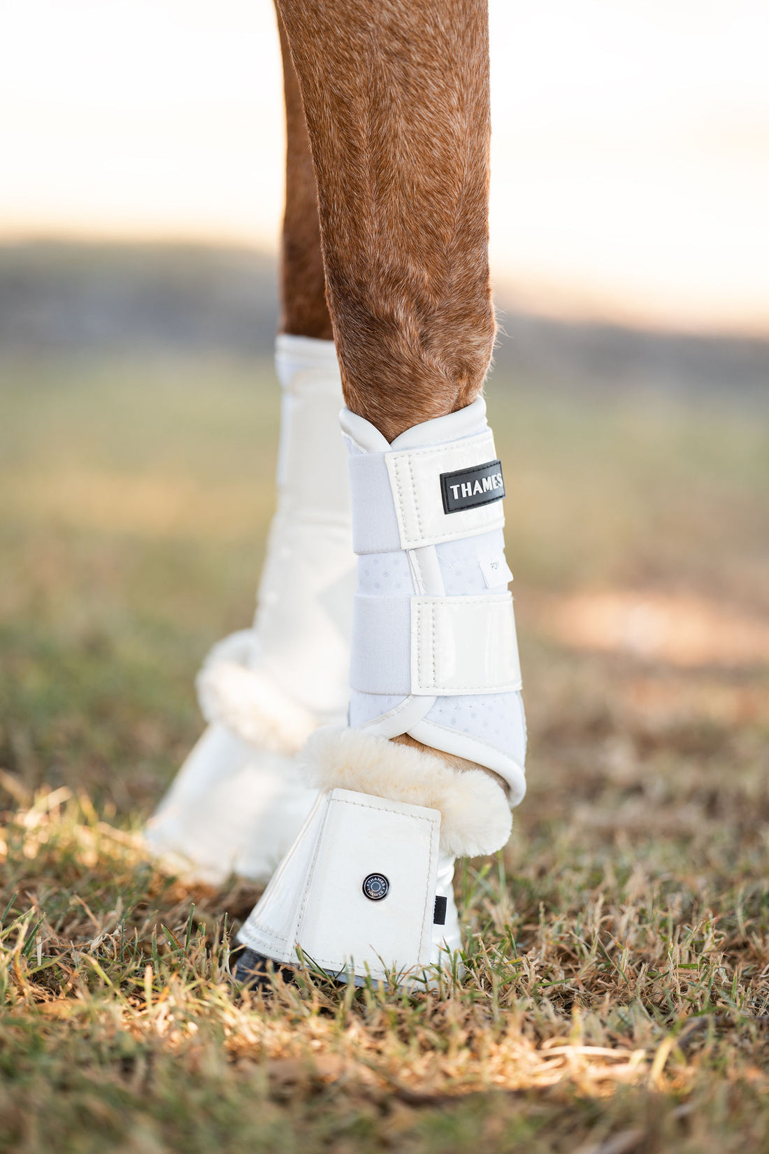 Thames Merino Lined Bell Boots - White