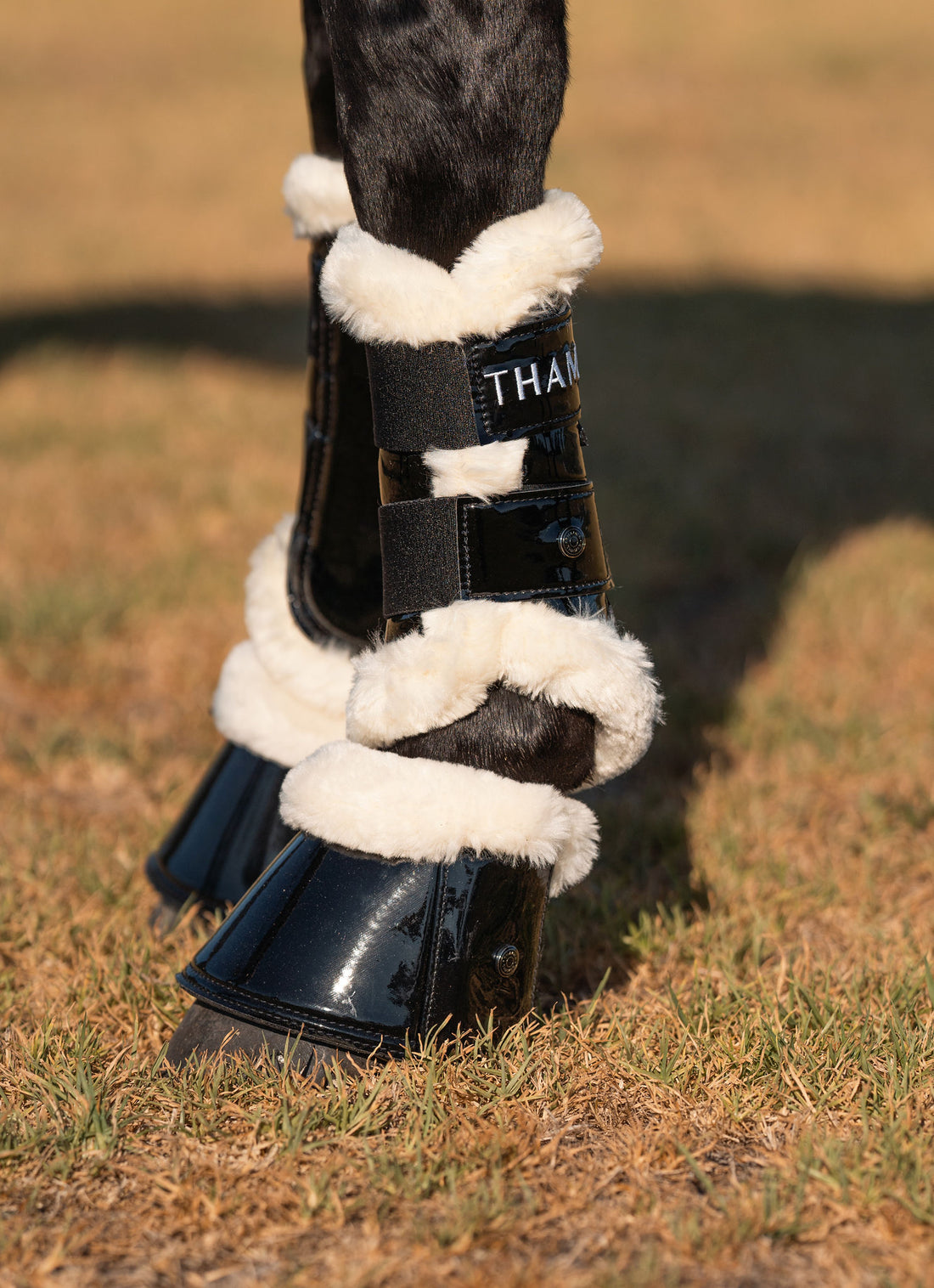 Thames Merino Edged Brushing Boots
