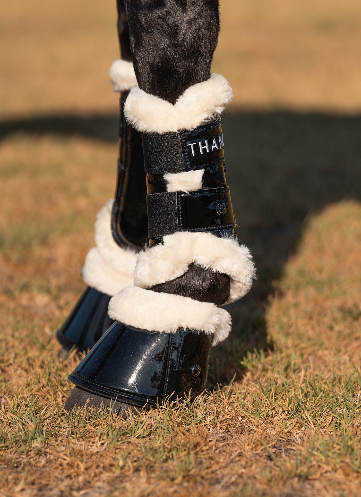 Thames Merino Edged Brushing Boots