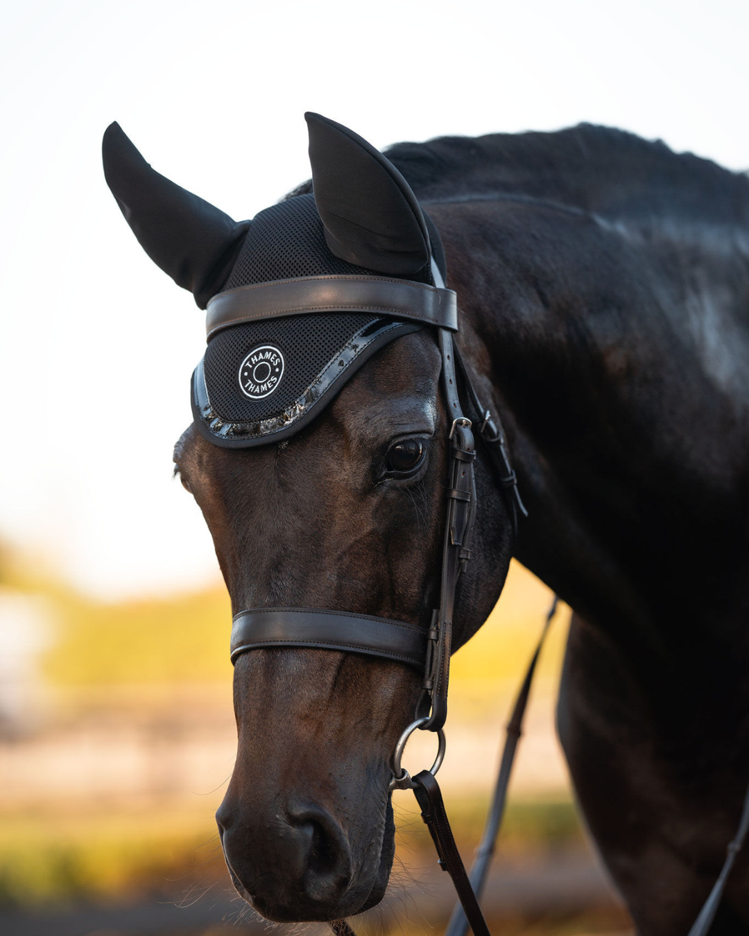 Thames St Edwards Ear Bonnet - Black