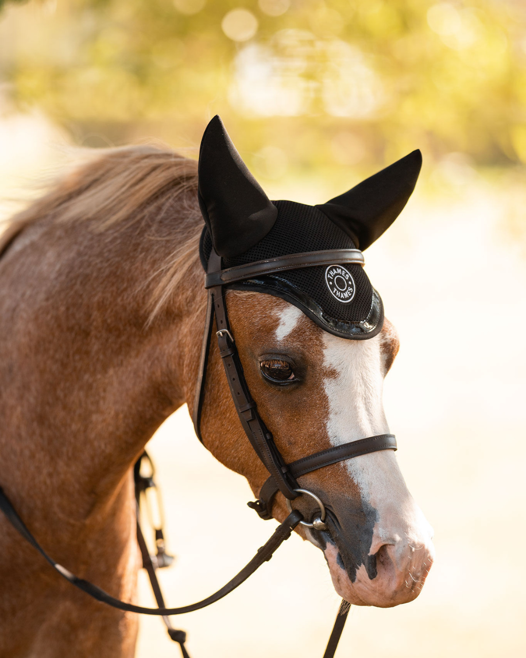 Thames St Edwards Ear Bonnet - Black