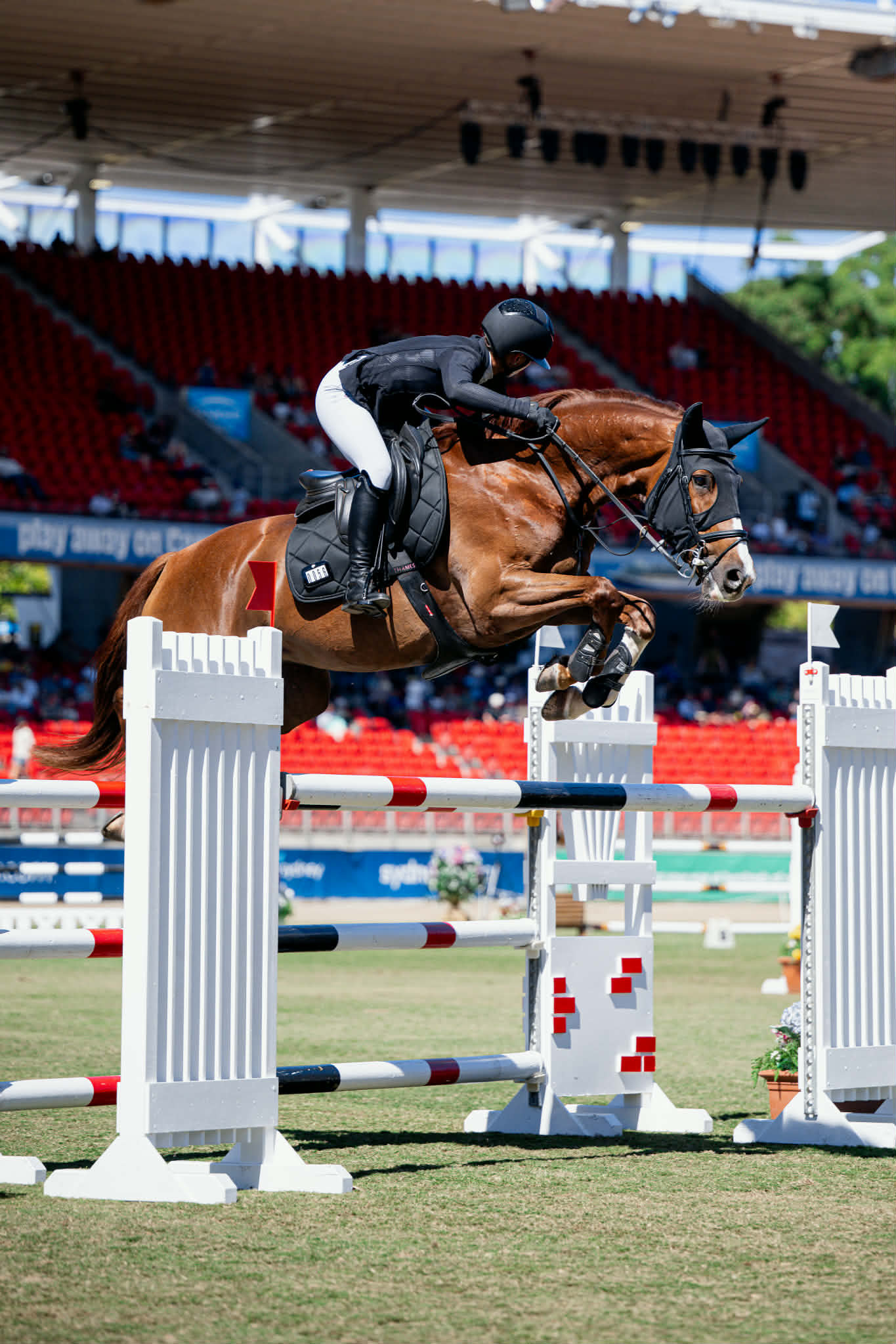 Thames Hickstead Jumping Pad - Candy