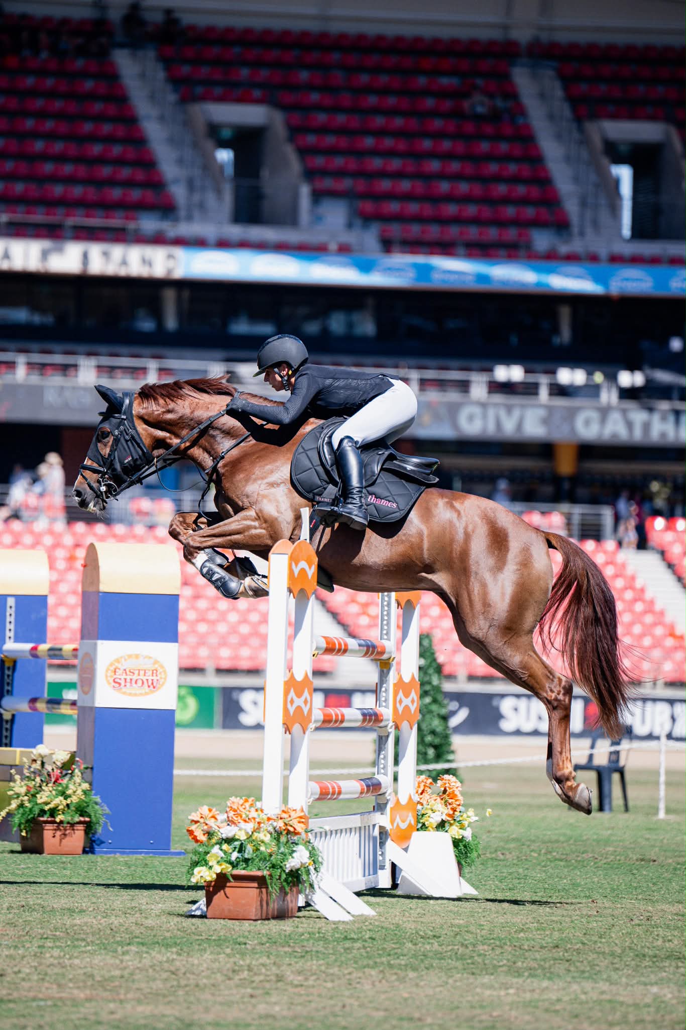 Thames Hickstead Jumping Pad - Candy