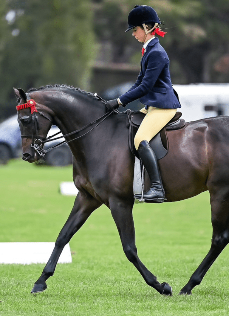 Thames London Competition Tights - Buttercup Thames Equestrian