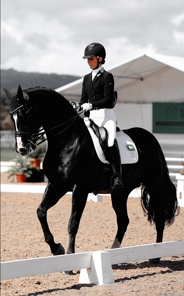 Horse riding bomber jacket discount