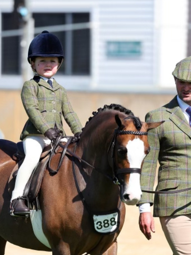 Thames Children's London Show Tights - Creme Thames Equestrian