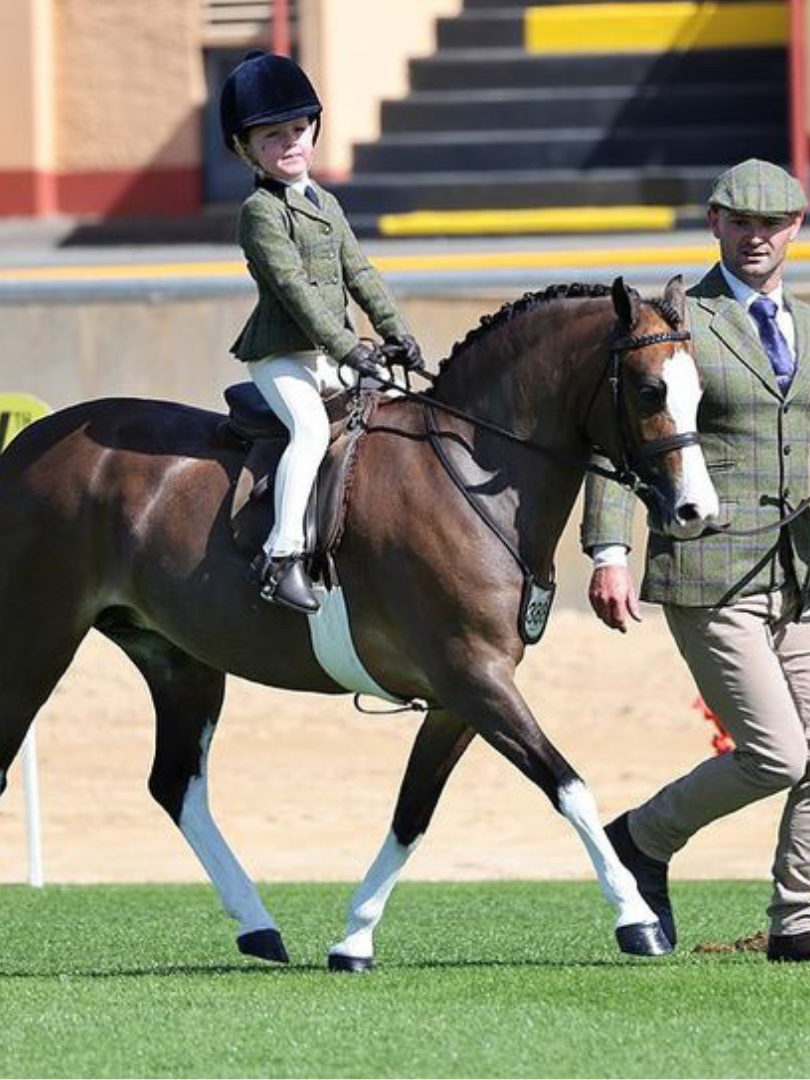 Thames Children's London Show Tights - Creme Thames Equestrian