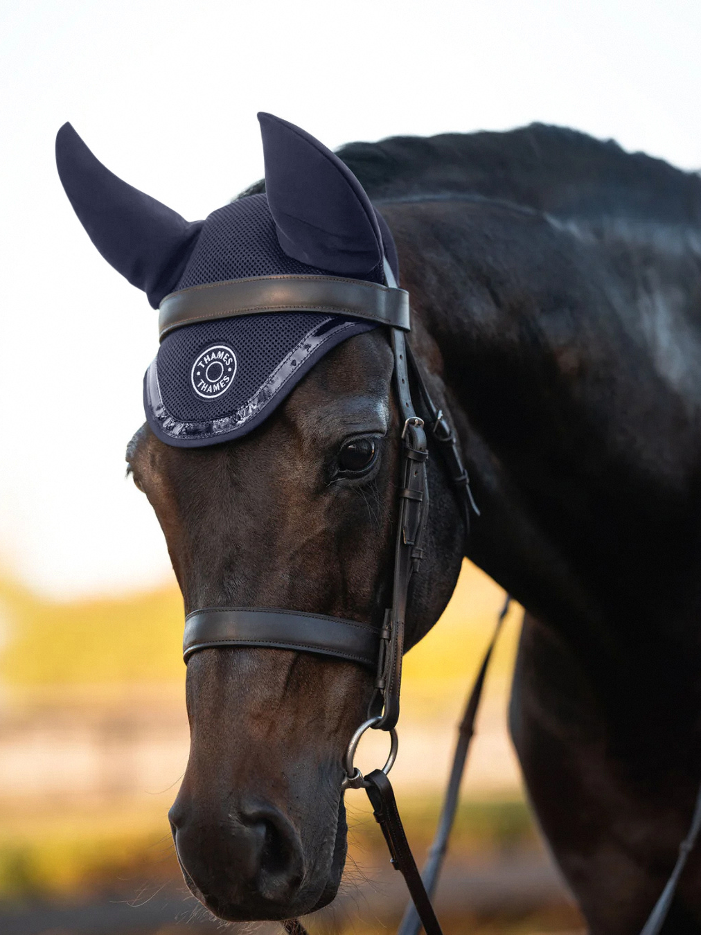 Thames St Edwards Ear Bonnet - Navy Thames Equestrian