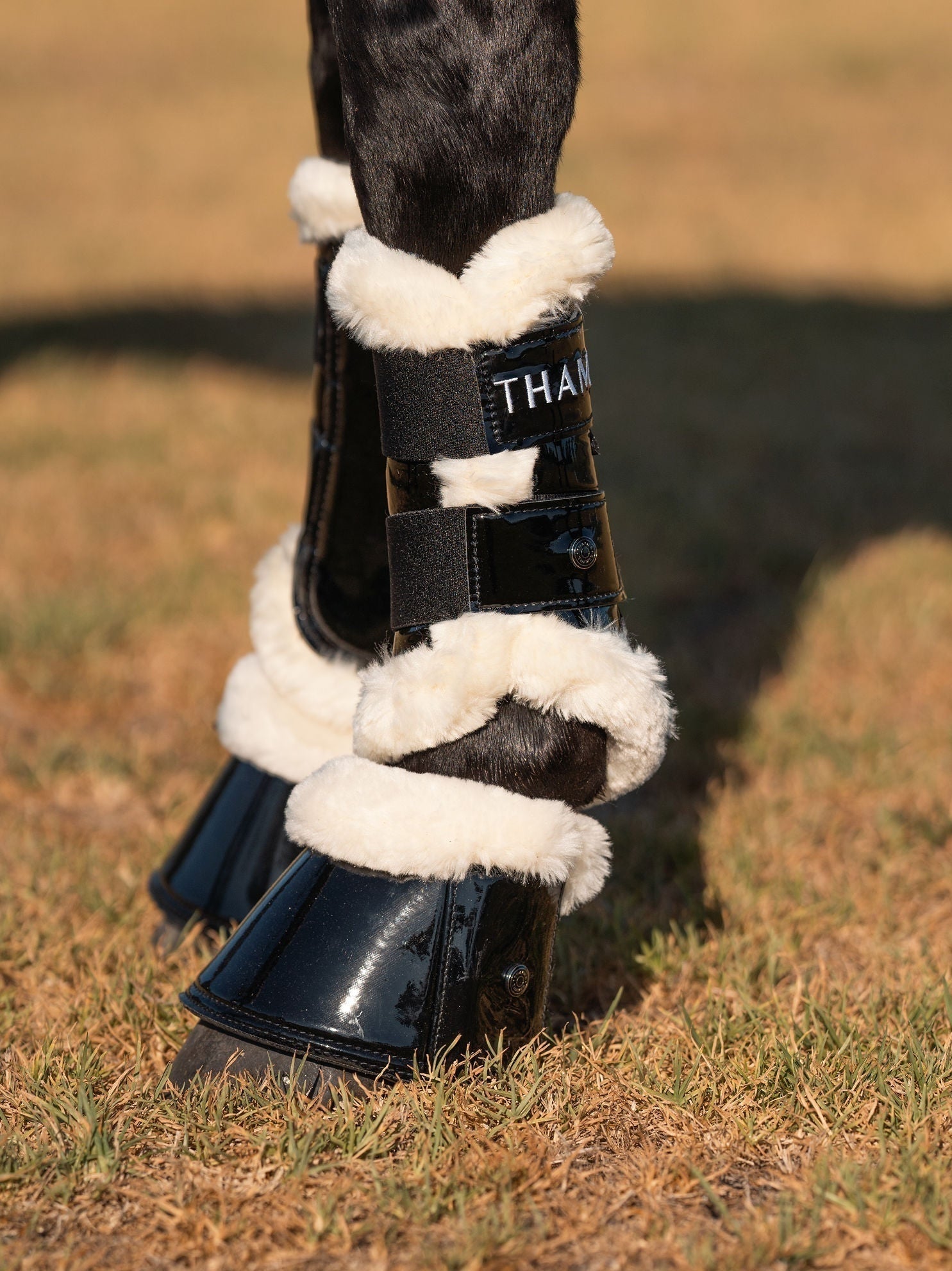 Thames Merino Lined Bell Boots - Black Thames Equestrian