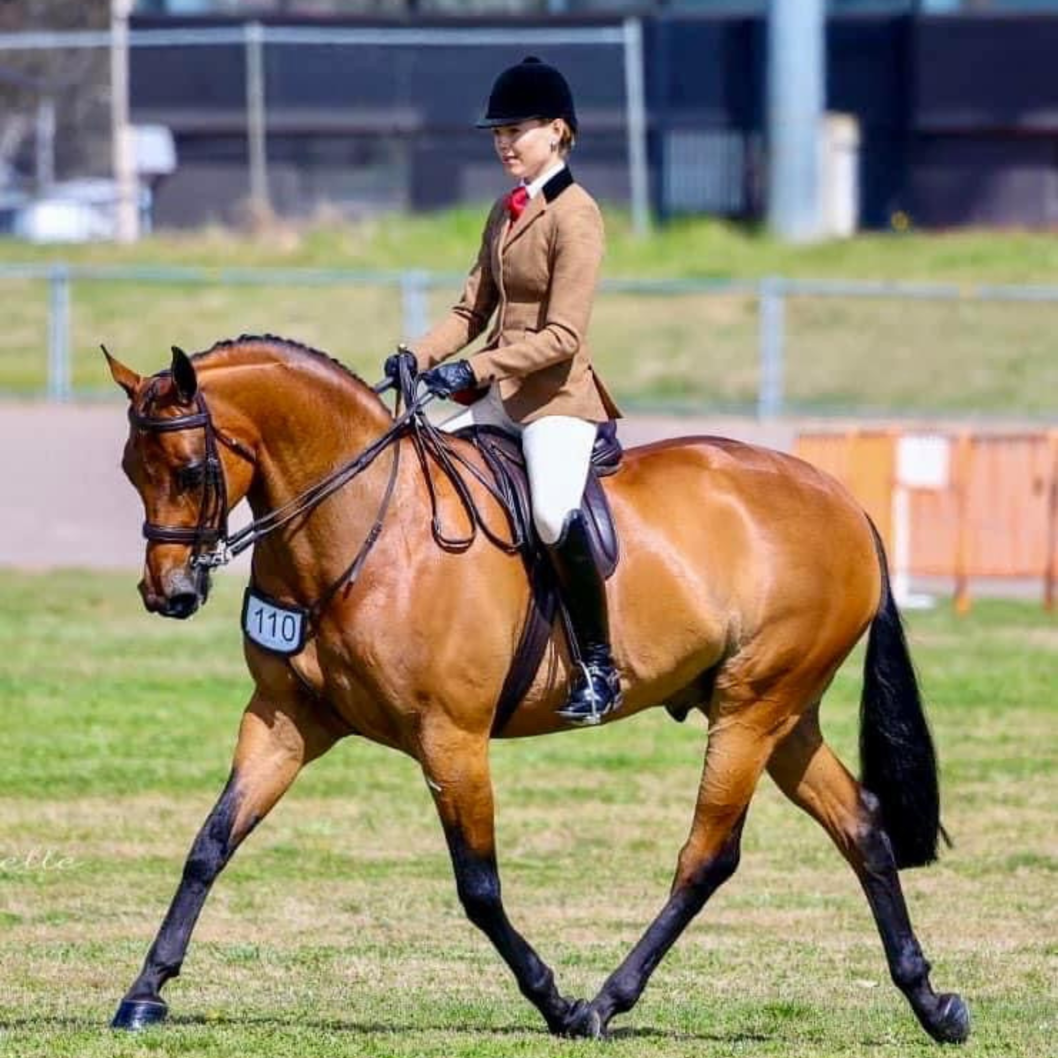 Thames Eton Show Shirt - Long Sleeve