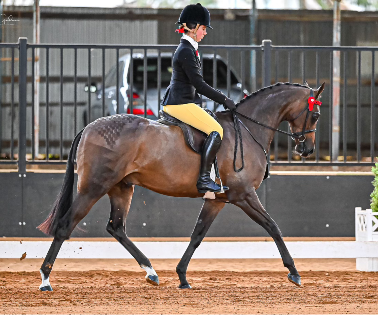 Thames London Competition Tights - Buttercup