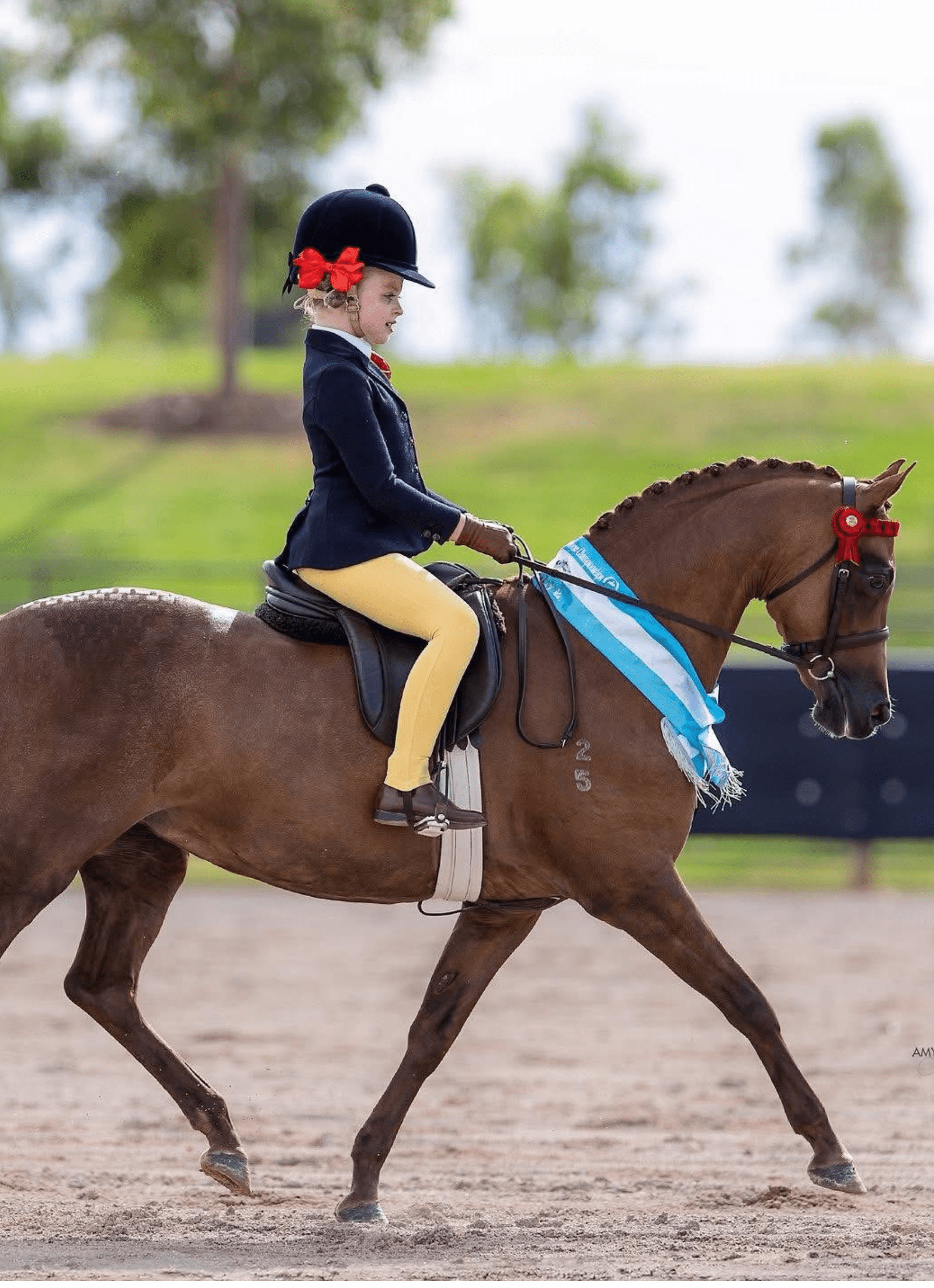 Thames Children's London Show Tights - Buttercup Thames Equestrian