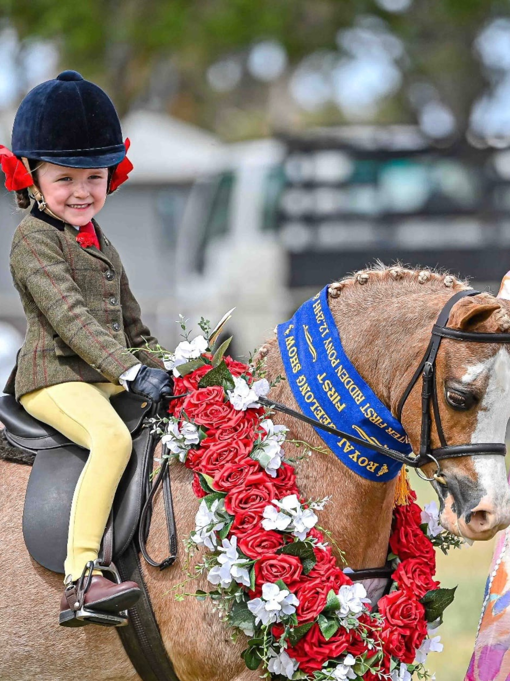 Thames Children's London Show Tights - Buttercup Thames Equestrian