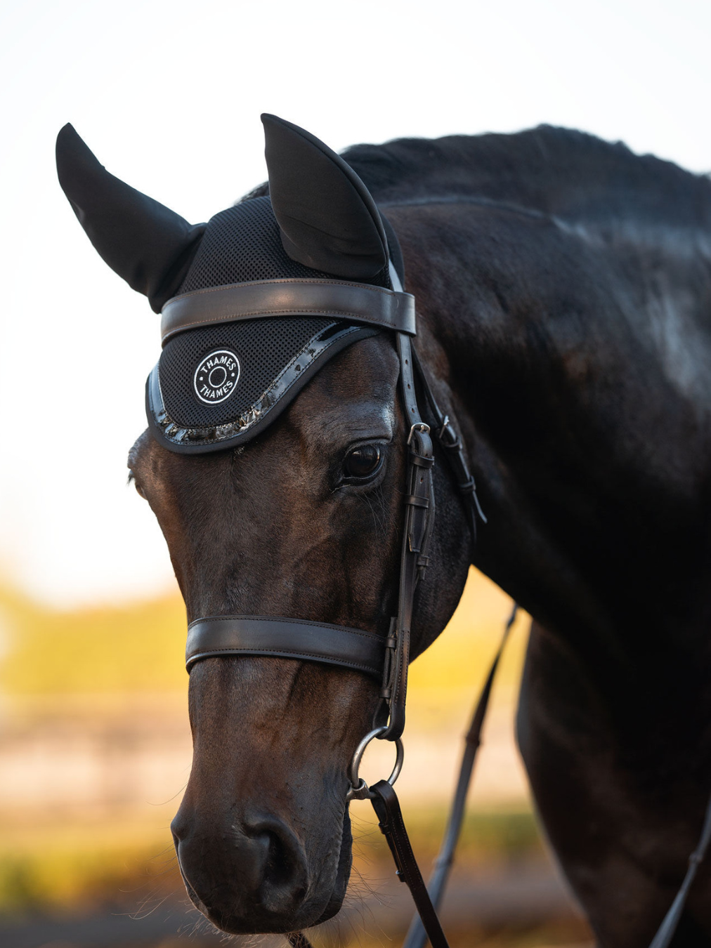 Thames St Edwards Ear Bonnet - Black Thames Equestrian