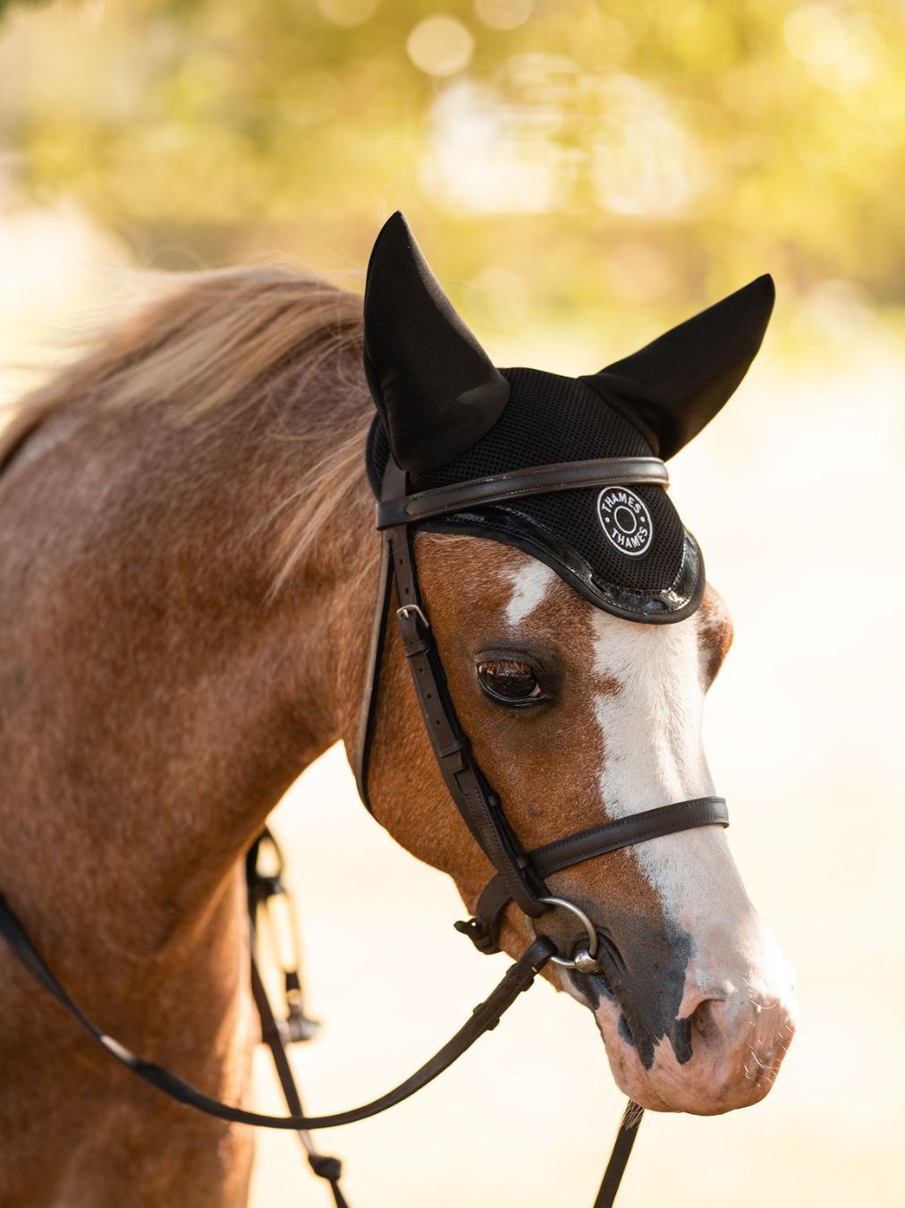 Thames St Edwards Ear Bonnet - Black Thames Equestrian