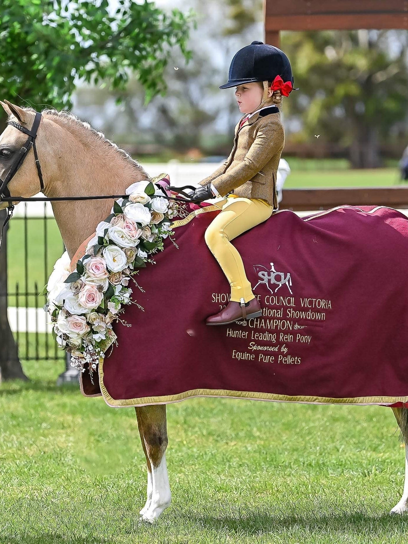 Thames Children's London Show Tights - Buttercup Thames Equestrian