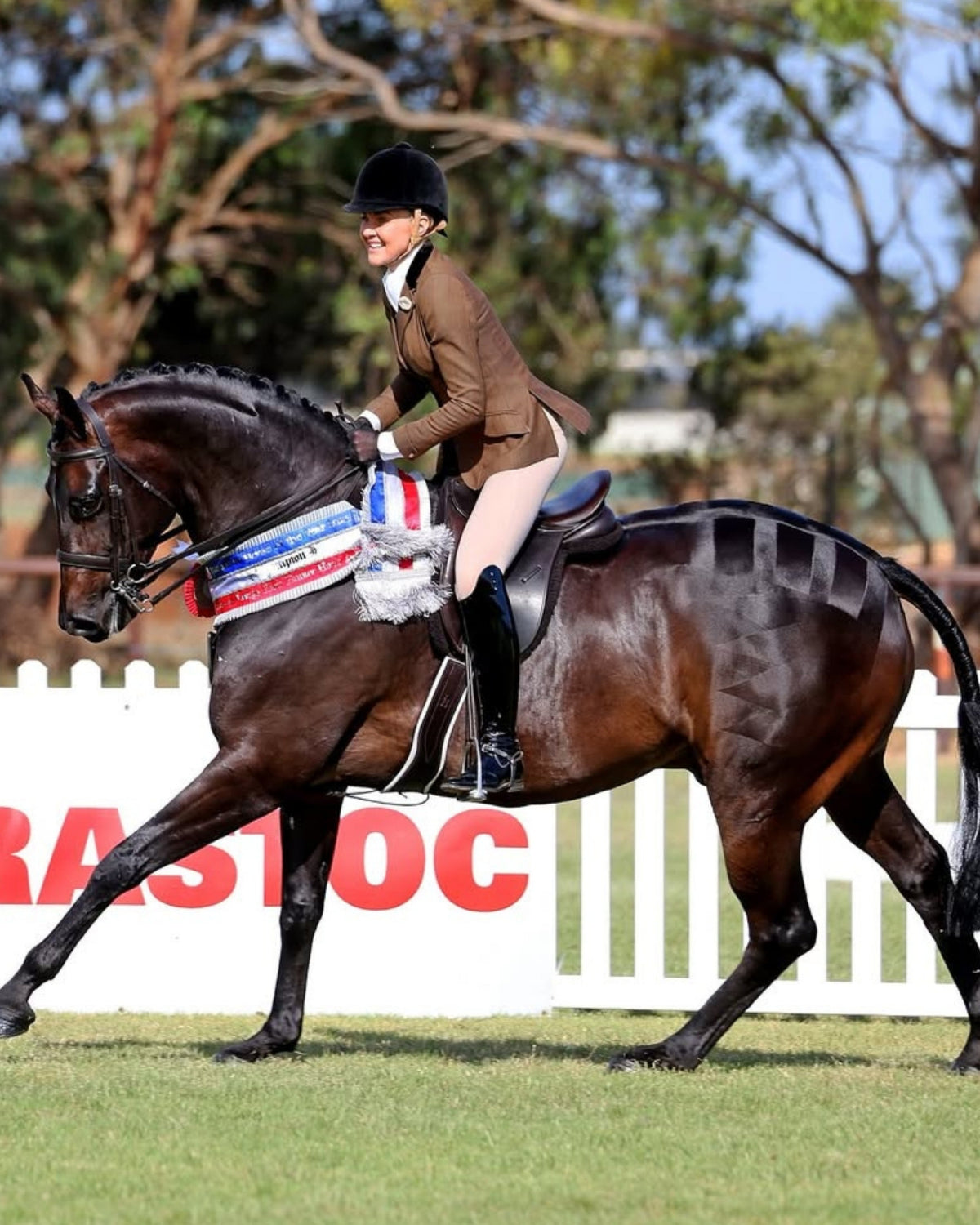 Rider wearing London Competition Tights in Hunter Beige in the show ring with champion rug