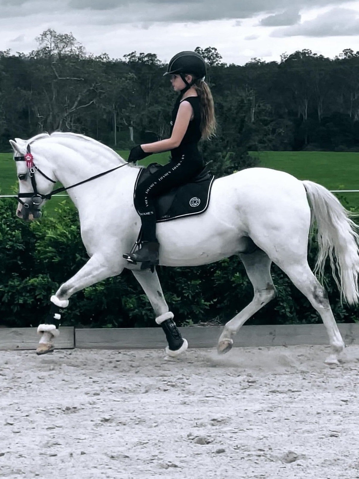 Thames Children's Chelsea Riding Tights Thames Equestrian